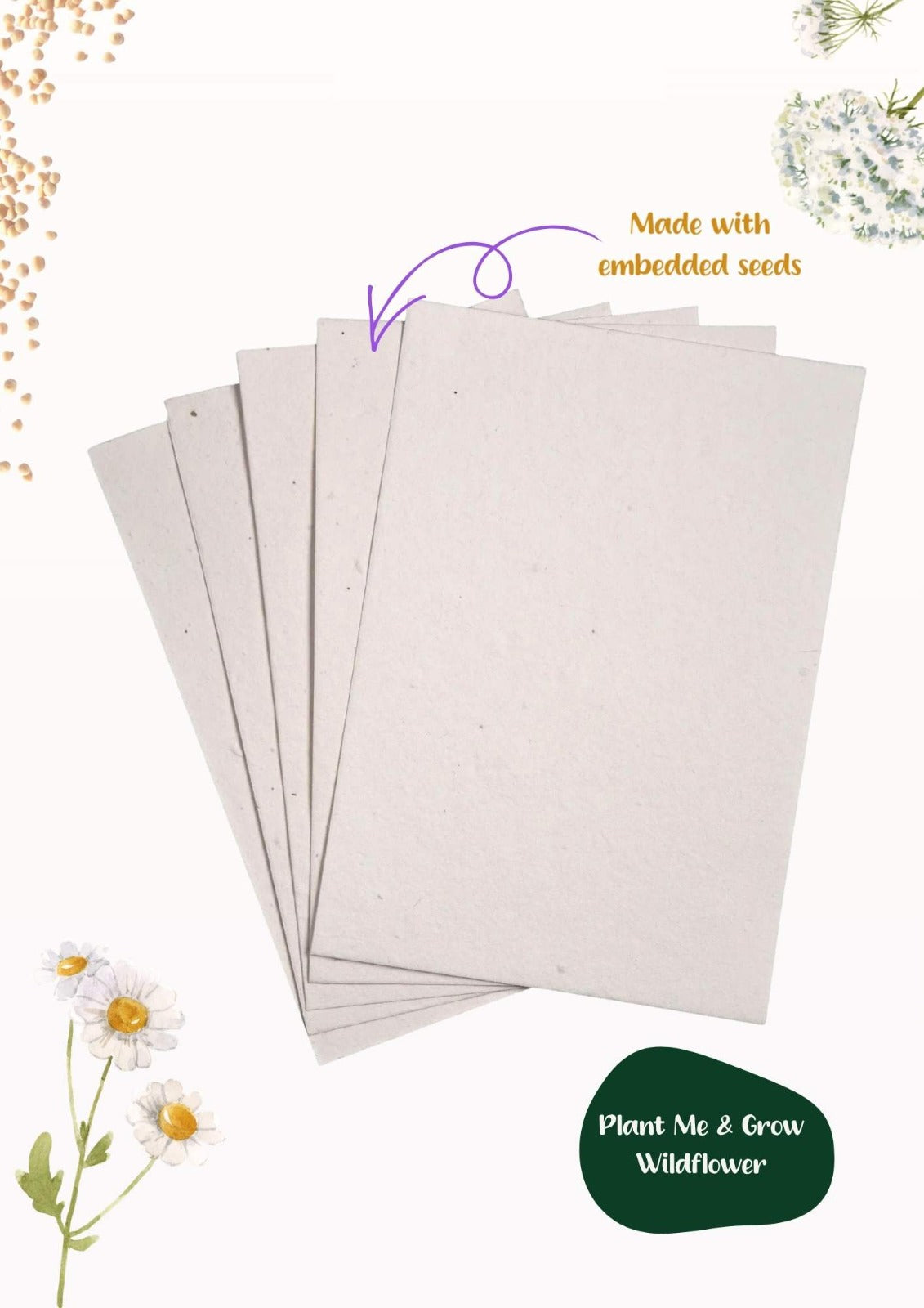 Seed Papers