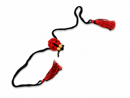 Plantable Rakhi - Set of 5