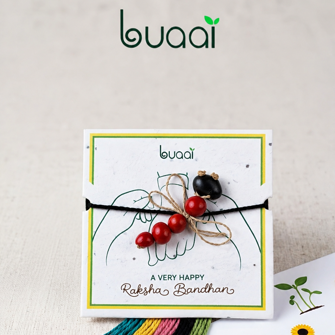 Plantable Dragonfly Rakhi