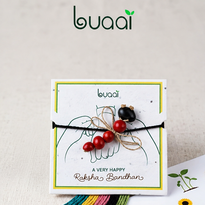 Plantable Dragonfly Rakhi