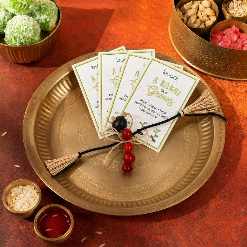 Plantable Dragonfly Rakhi