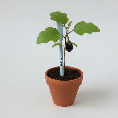 Plantable Seed pens