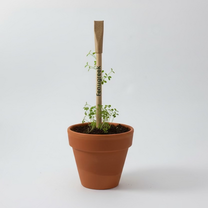 Plantable Seed pens