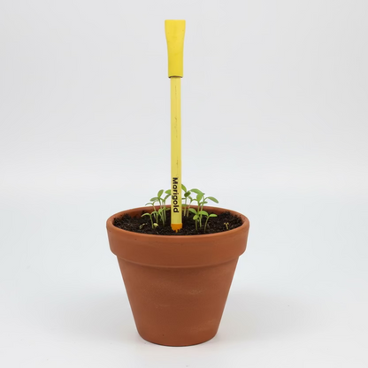 Plantable Seed pens