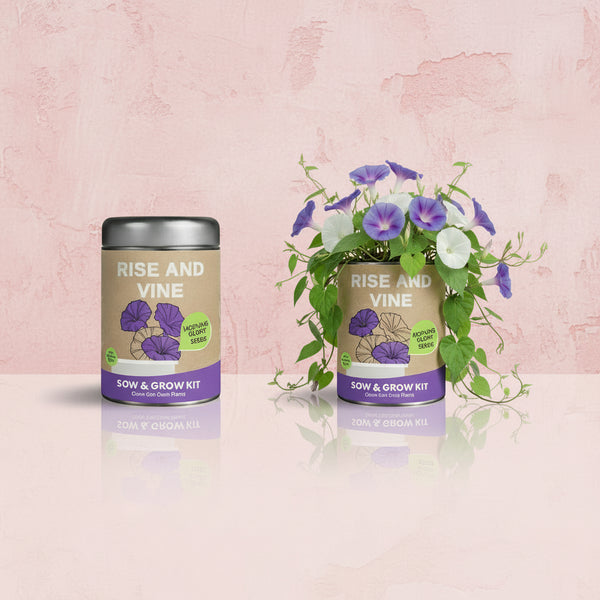 Plantable Sow & Grow Kits