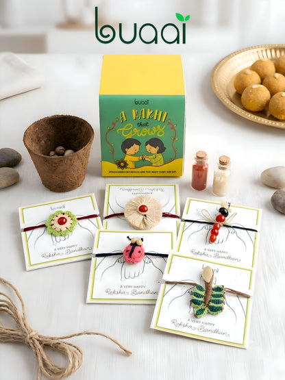 Plantable Ladybug Rakhi