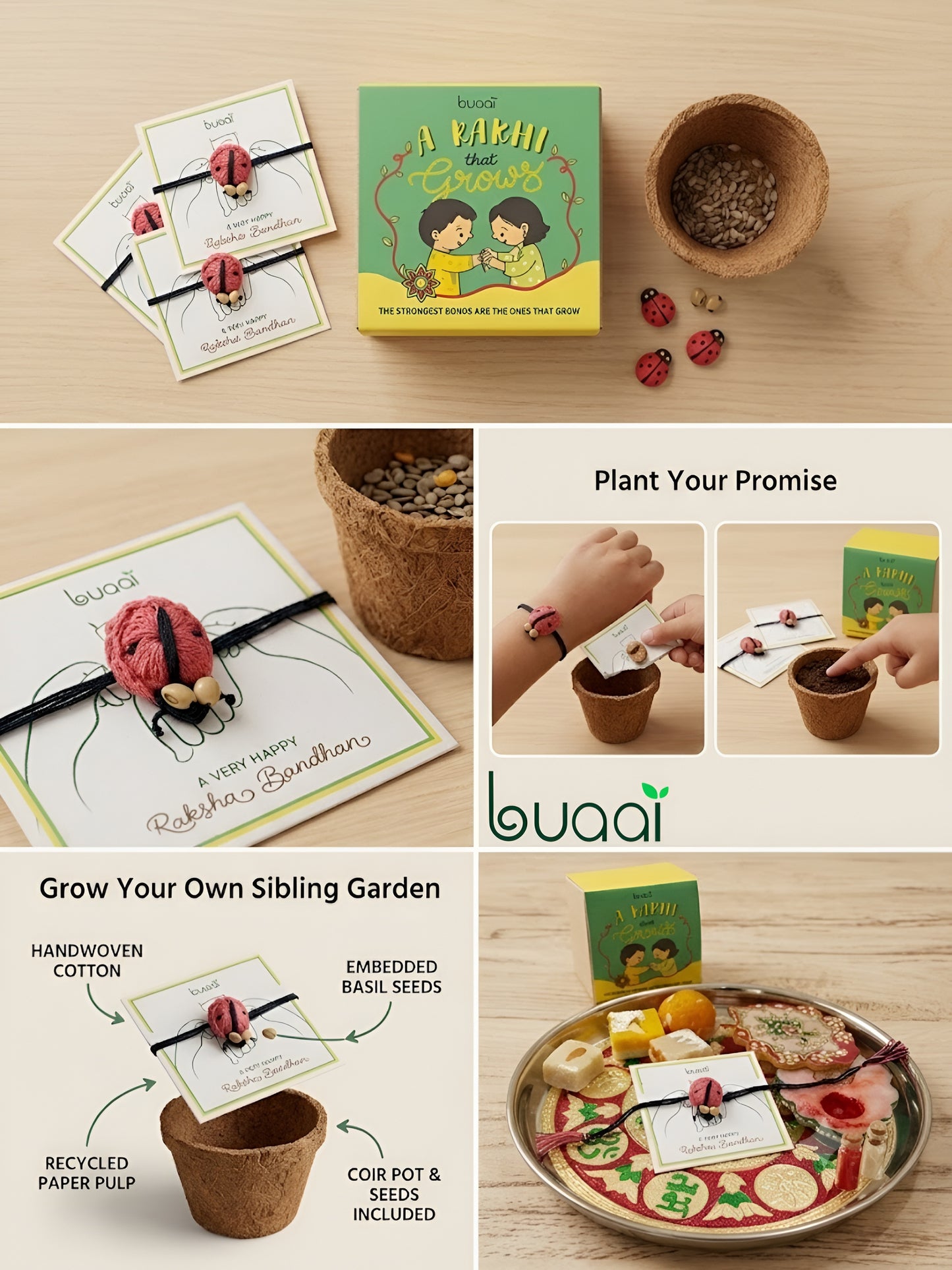Plantable Ladybug Rakhi