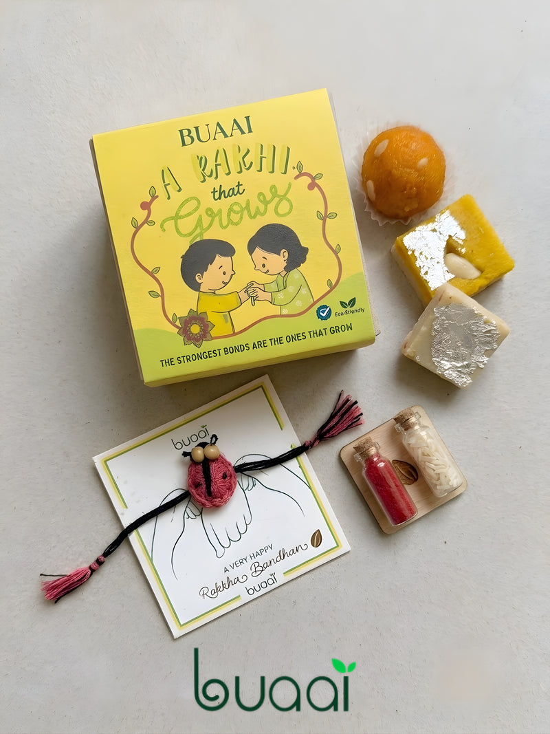 Plantable Ladybug Rakhi