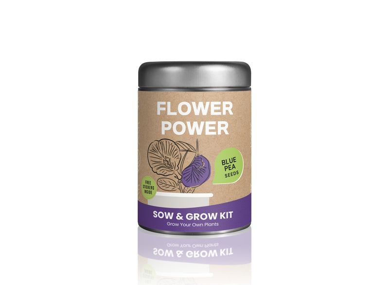 Sow & Grow Kit (Mini) - Blue Pea