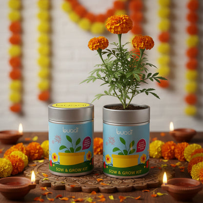 Diwali Sow & Grow Kit