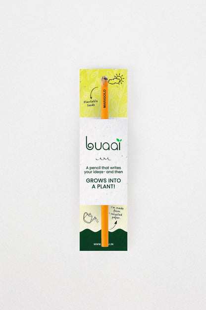 Plantable Pencils